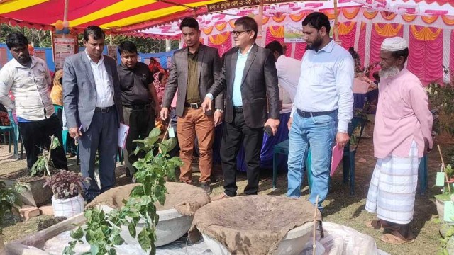 মহিপুরে কারিতাস প্রকল্পের উদ্যোগে প্রযুক্তি মেলা অনুষ্ঠিত