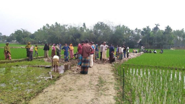 ঝিনাইগাতীতে রোপনকৃত আবাদি জমির ধান বিনষ্ট করে জোরপূর্বক রাস্তা তৈরির চেষ্টা 