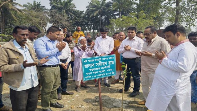 ঈশ্বরদীতে রাস্তার পাশে জায়গা অবৈধ দখলমুক্ত করে গাছের চারা রোপন