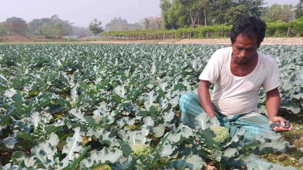 ছবিঃ সংগৃহীত