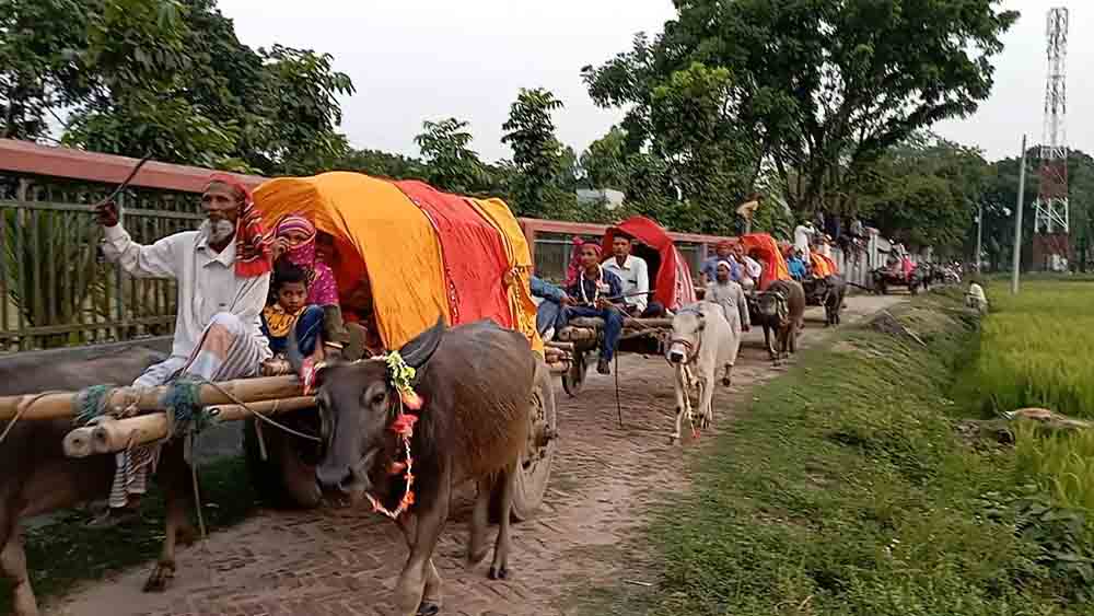 ছবিঃ সংগৃহীত