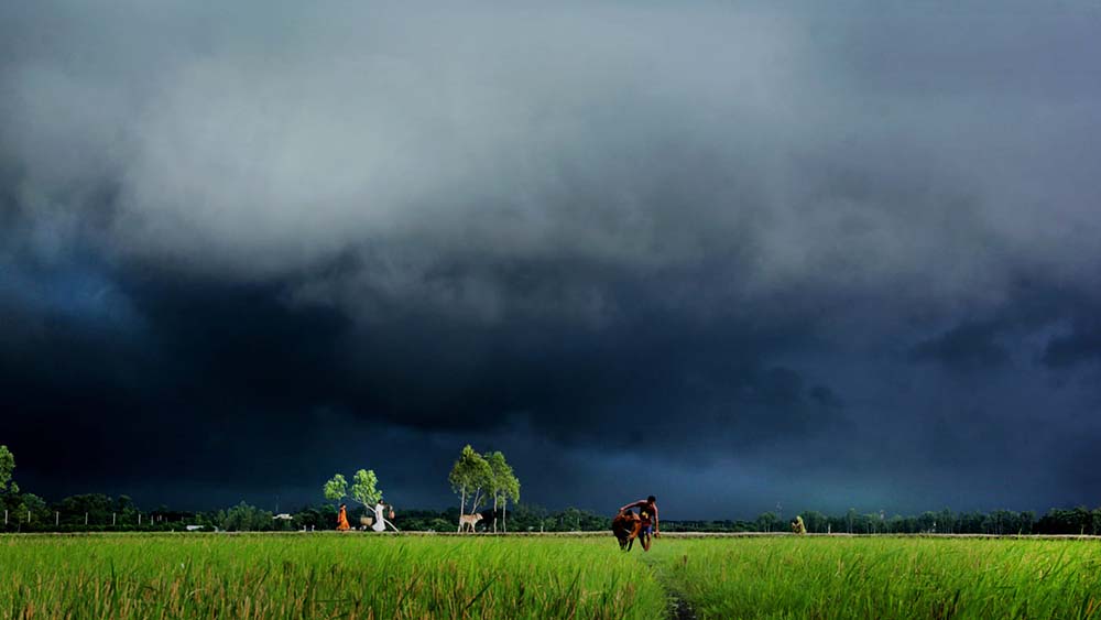 ছবিঃ সংগৃহীত