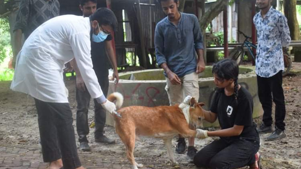 ছবিঃ সংগৃহীত 