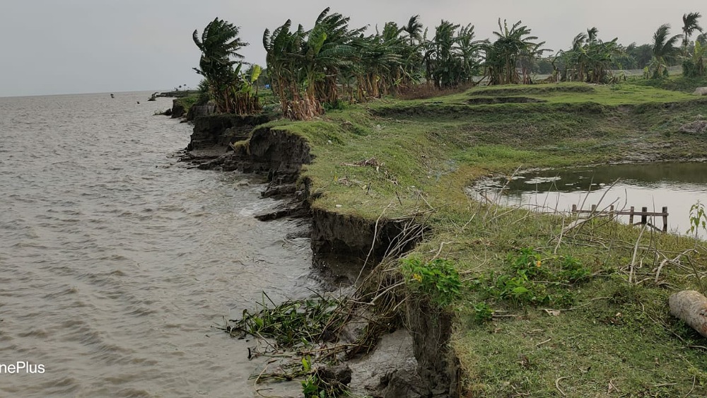 সংগৃহীত