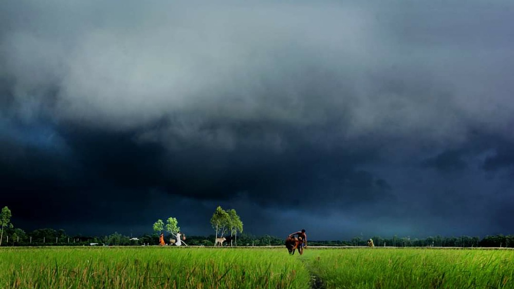 ছবিঃ সংগৃহীত