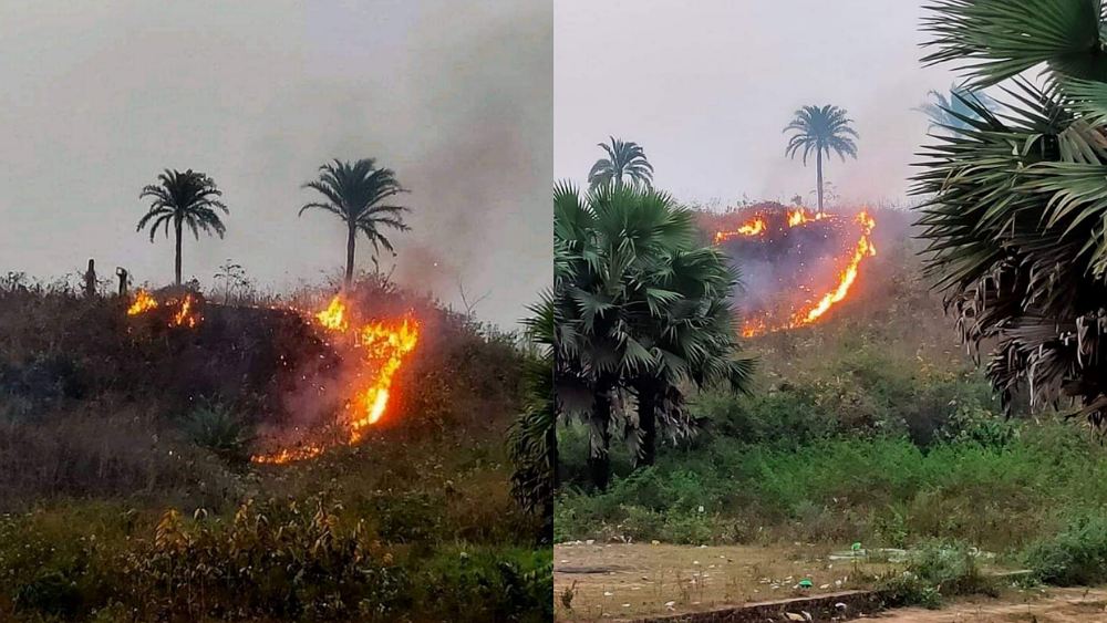 ছবিঃ সংগৃহীত 