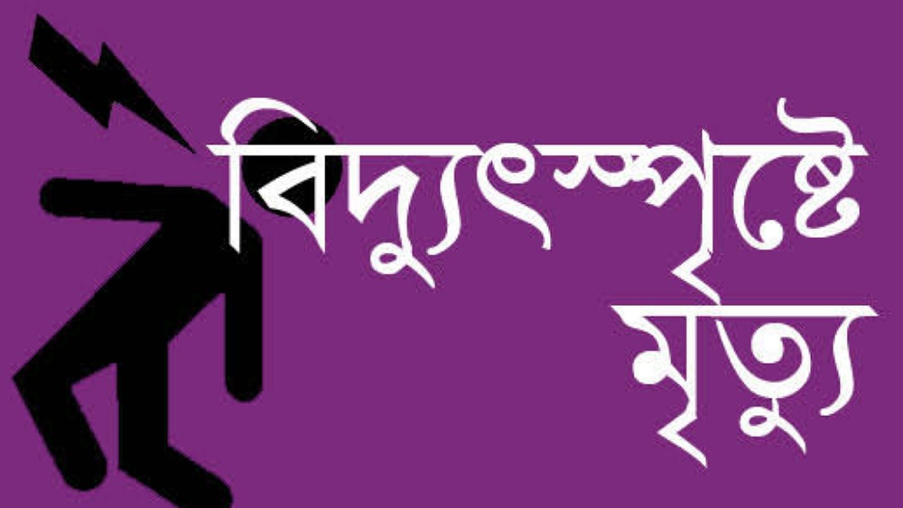 ছবিঃ সংগৃহীত