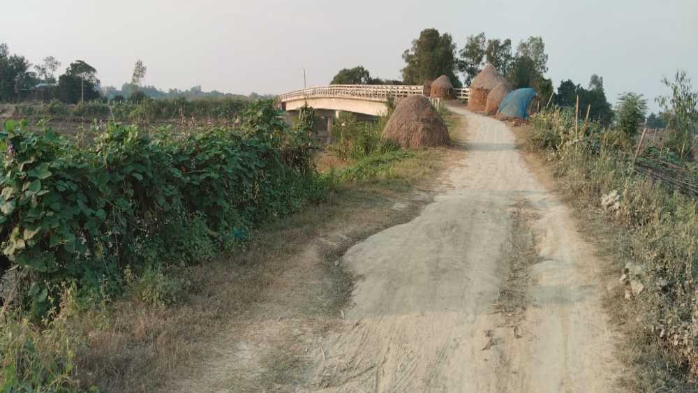 নাগরপুরের আলোকদিয়া ও পাইশানা বাজার রাস্তার অনুমোদন