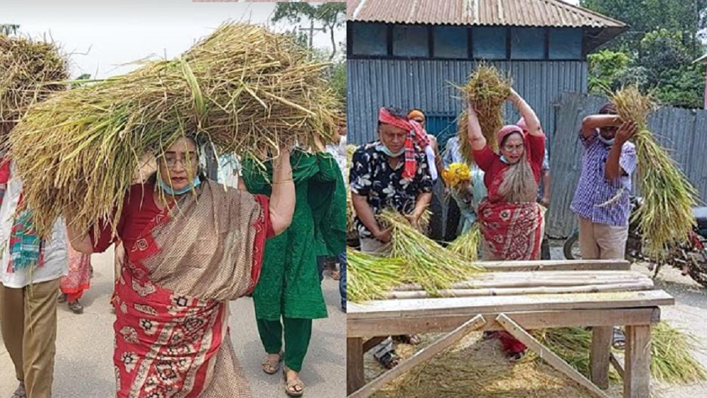 জামালপুর-শেরপুর সংরক্ষিত নারী আসনের সংসদ সদস্য হোসনে আরা-ছবি: সংগৃহীত 