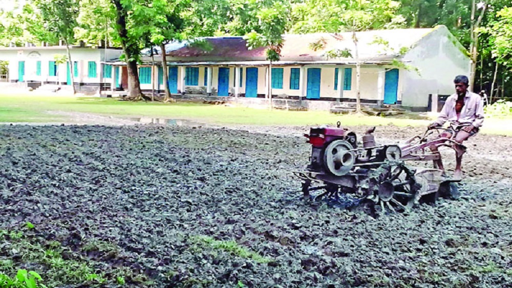 ঝালকাঠির রাজাপুর উপজেলার ইউসুফ আলী মাধ্যমিক বিদ্যালয় ও এর পাশে অবস্থিত দক্ষিণ রাজাপুর সরকারি প্রাথমিক বিদ্যালয় মাঠে ট্রাক্টর দিয়ে চষে বীজতলার জন্য জমি প্রস্তুত করা হচ্ছে-ছবি: সংগৃহীত 