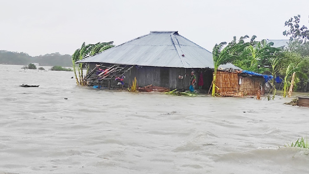 ফাইল ছবি