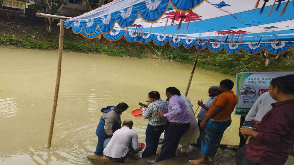 সংগৃহীত