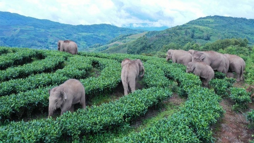 ছবি: ইন্টারনেট