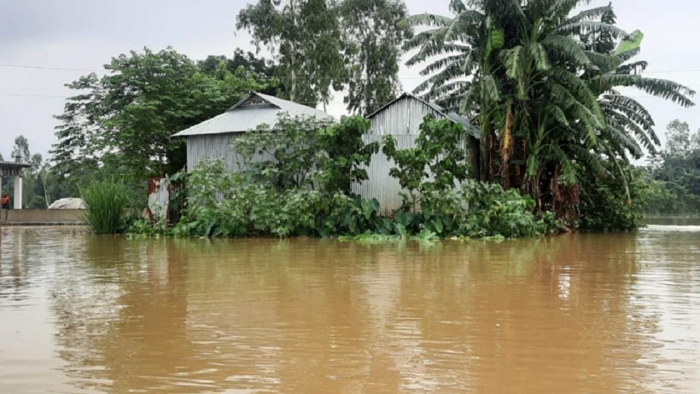 কুড়িগ্রামের রৌমারী উপজেলার বকবান্ধা গ্রাম। ছবি: সংগৃহীত