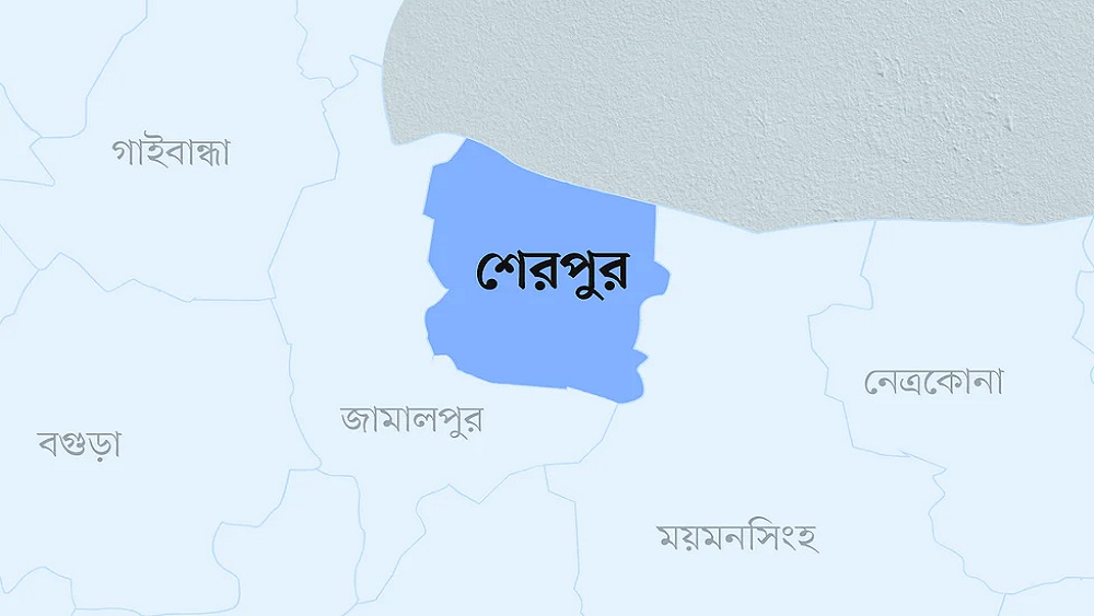 -ফাইল ছবি