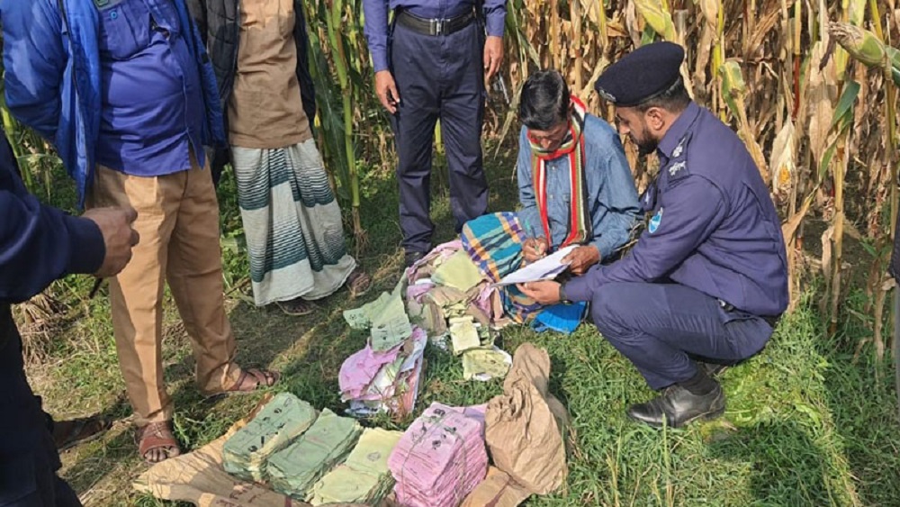 শনিবার গাবসারা ইউনিয়নের পুংলীপাড়া এলাকার একটি ভুট্টা ক্ষেত থেকে বস্তাবন্দী অবস্থায় ব্যালট পেপারগুলো উদ্ধার করা হয়-ছবি সংগৃহীত