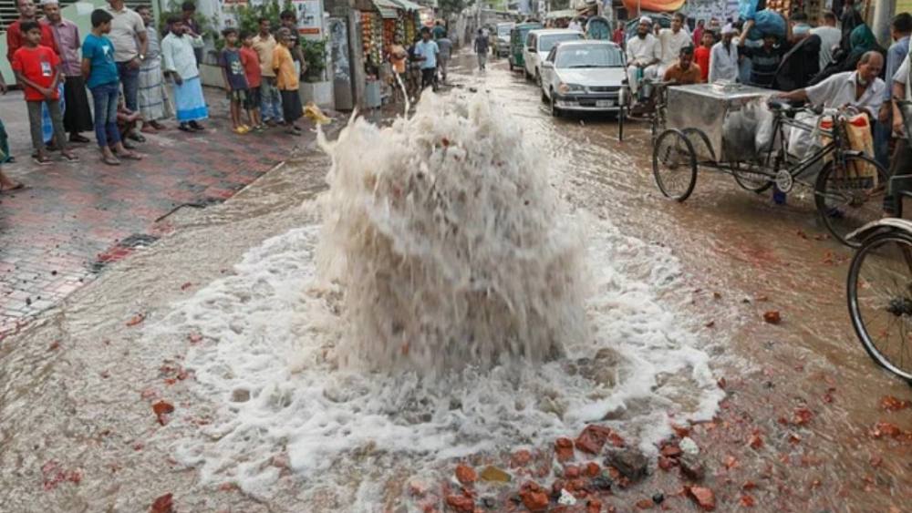 সংগৃহীত 